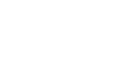 Dash