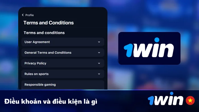 Điều khoản và điều kiện là gì
